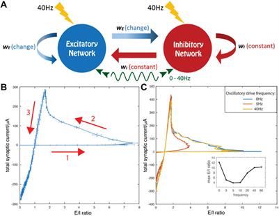 Heterogeneous mechanisms for synchronization of networks of resonant neurons under different E/I balance regimes